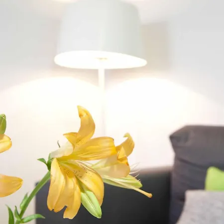 Loft 308 Апартаменты Аликанте